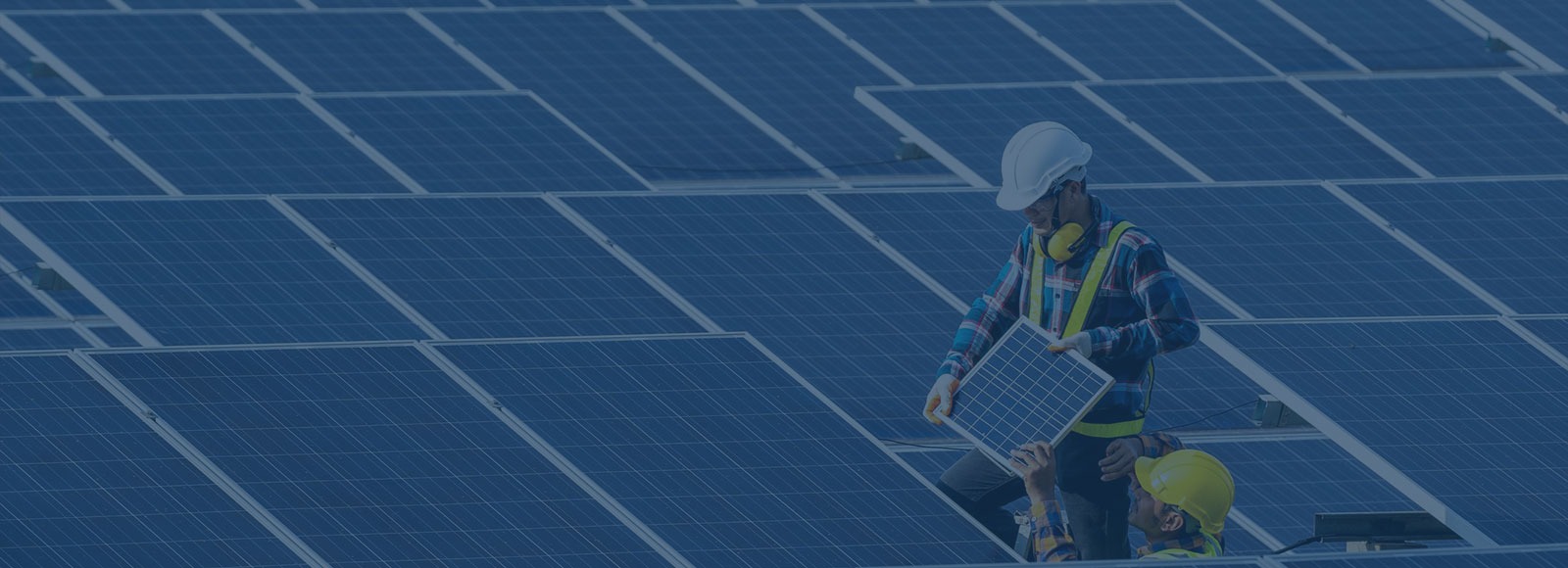 Bersama Mewujudkan Masa Depan Berkelanjutan